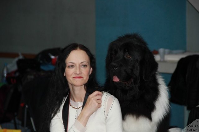 Фотография № 83134