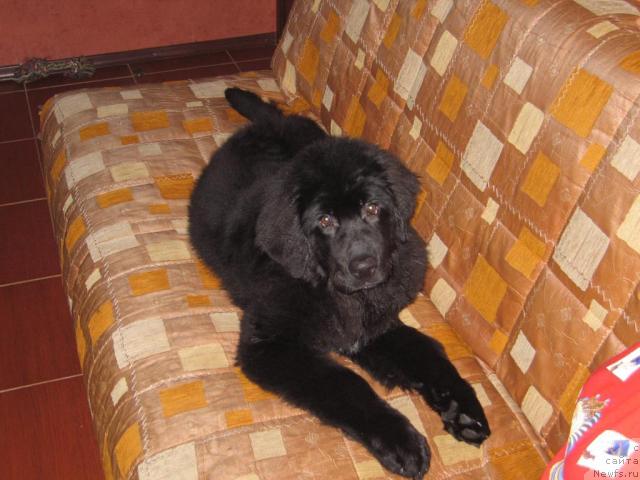 Фото: Оксана Попова