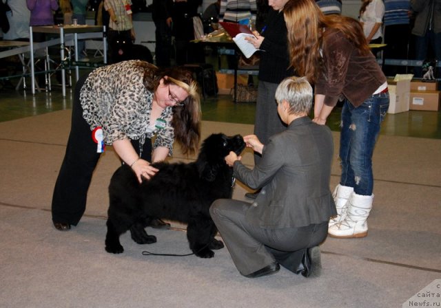 Фотография № 83148