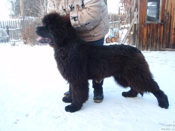 Фотография № 83165