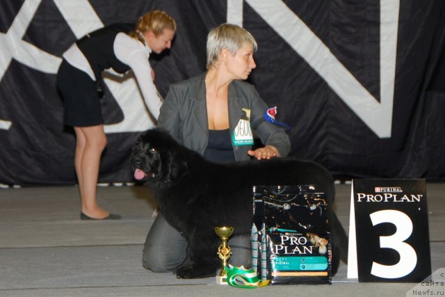 Фотография № 83199