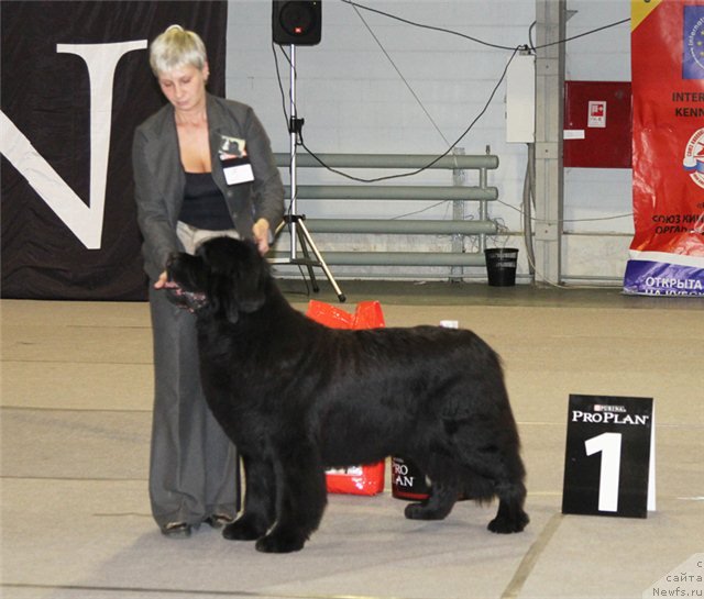 Фотография № 83201