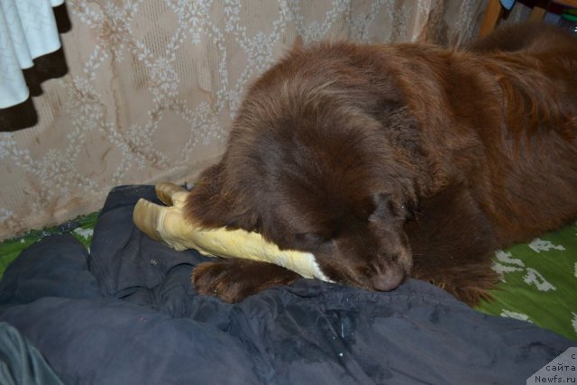 Фото: Наталия Пашкина