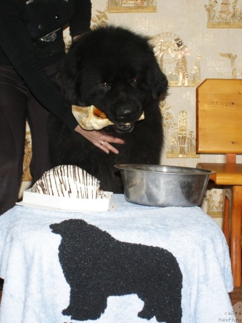 Фотография № 83292