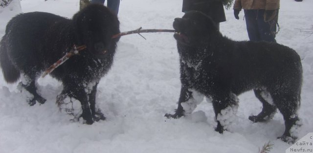 Фото: Лорик и Малая