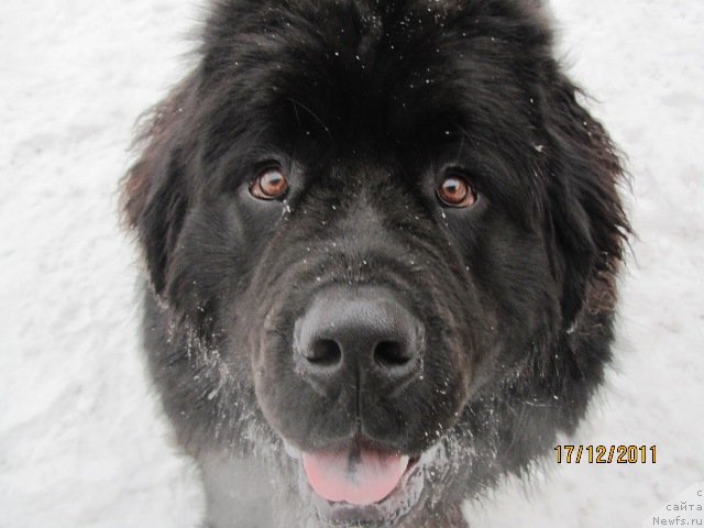 Фотография № 83393