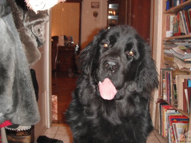 Фотография № 83400