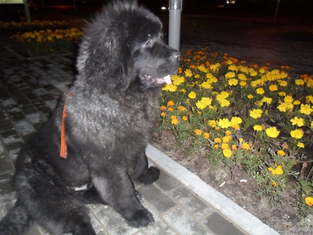 Фото: Омар Шериф