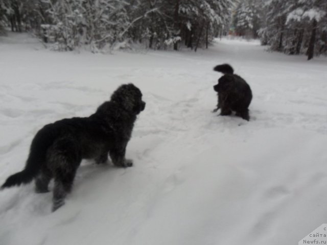 Фото: Омар Шериф и Аурика