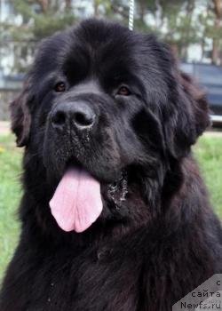 Фотография № 83618