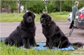 Фотография № 83620