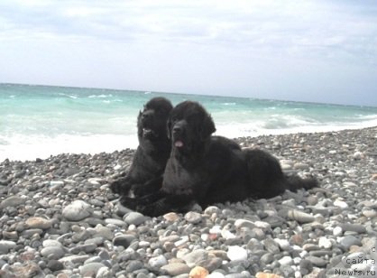 Фотография № 83621