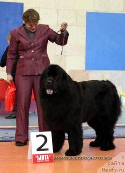 Фотография № 83622