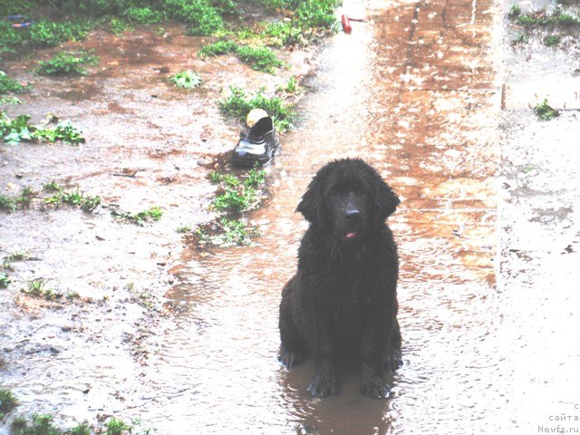 Фотография № 83624