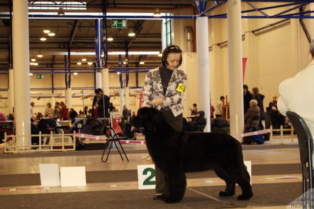 Фотография № 83668