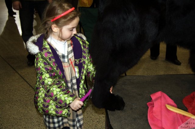 Фотография № 83672