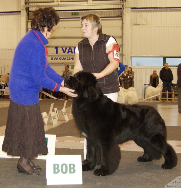 Фотография № 83674