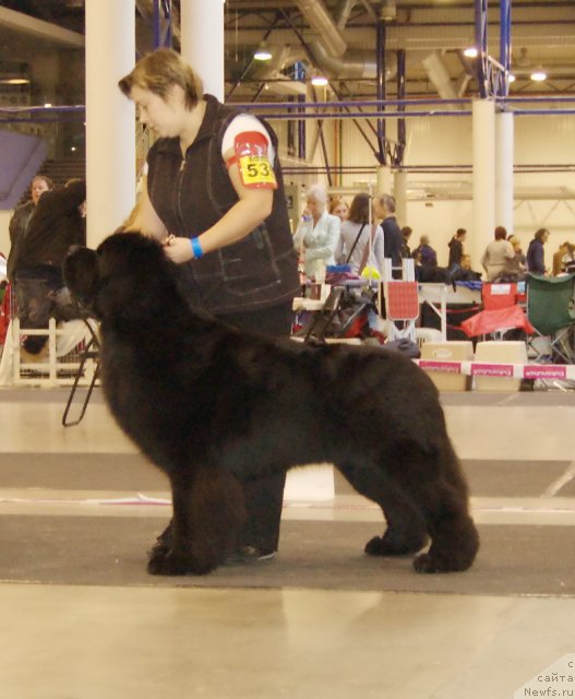 Фотография № 83676