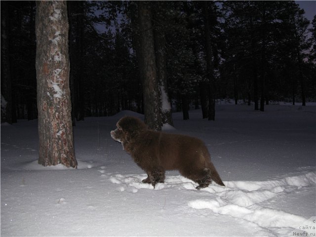 Фотография № 83681