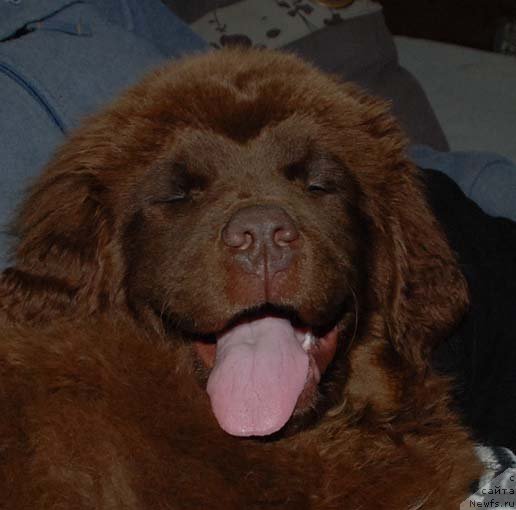 Фотография № 83690