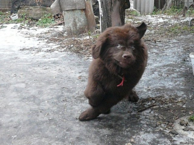 Фотография № 83692