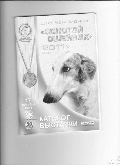 Фотография № 83721