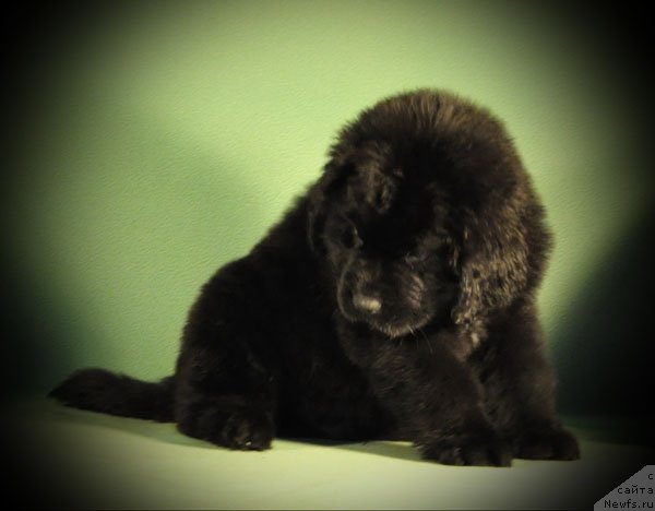 Фото: Фо Бетте энд Фо Ворс