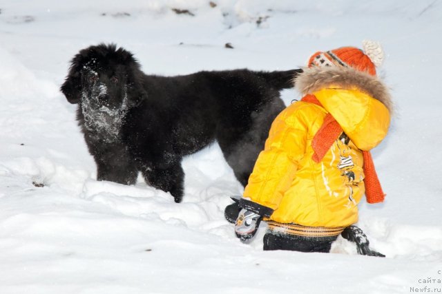 Фотография № 83769