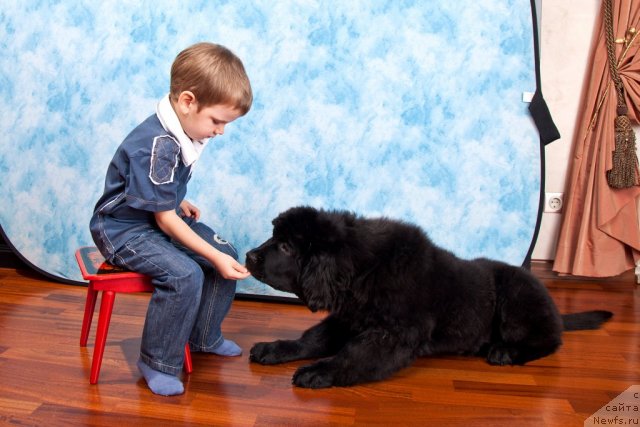 Фотография № 83770