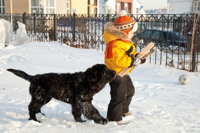 Фотография № 83771