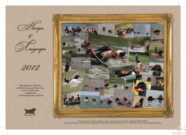 Фотография № 83788