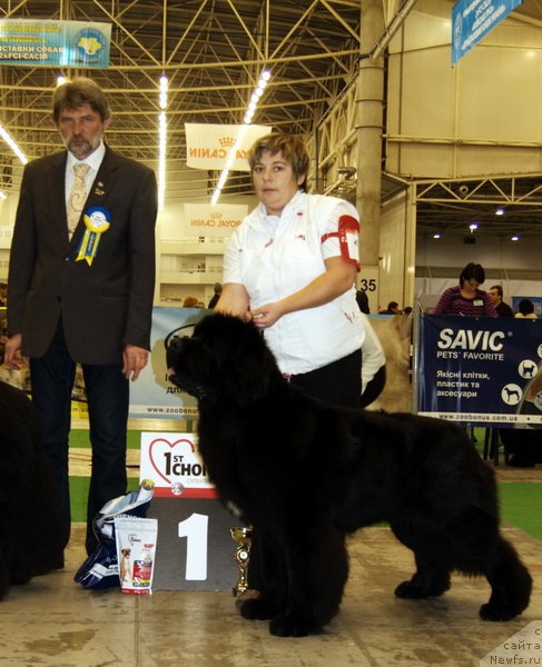 Фотография № 83792