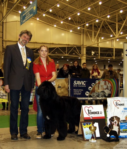 Фотография № 83793