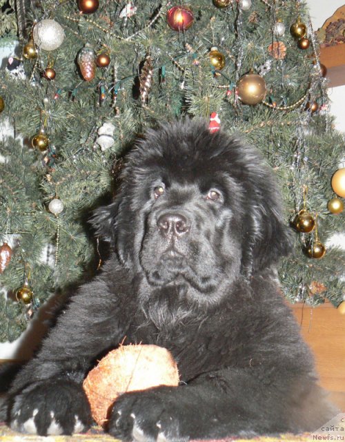 Фото: Аю-Даг