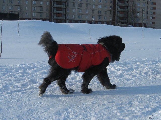 Фотография № 83812