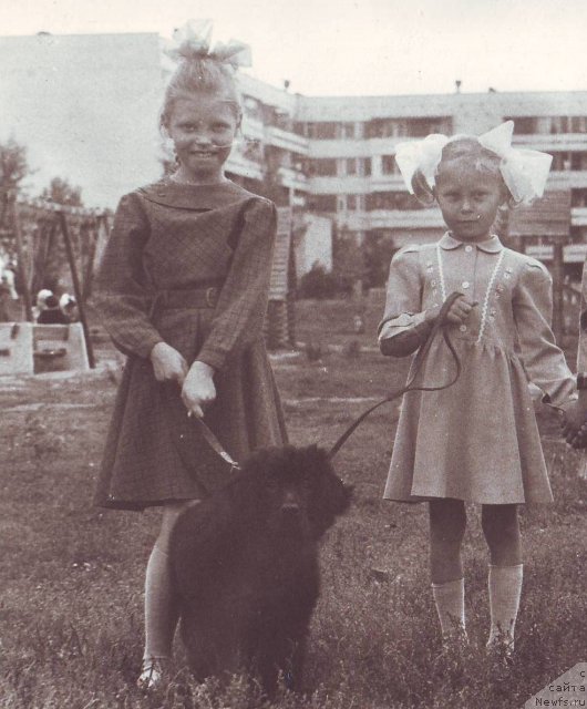 Фотография № 83837