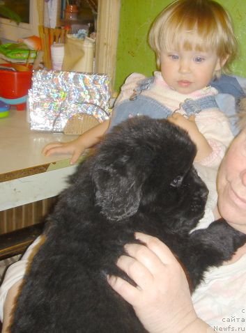 Фото: [d8829] София