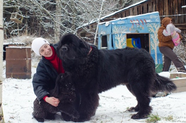 Фотография № 83867