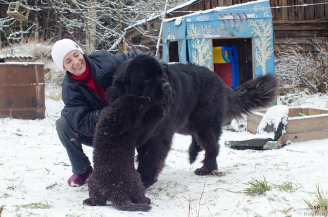 Фотография № 83869