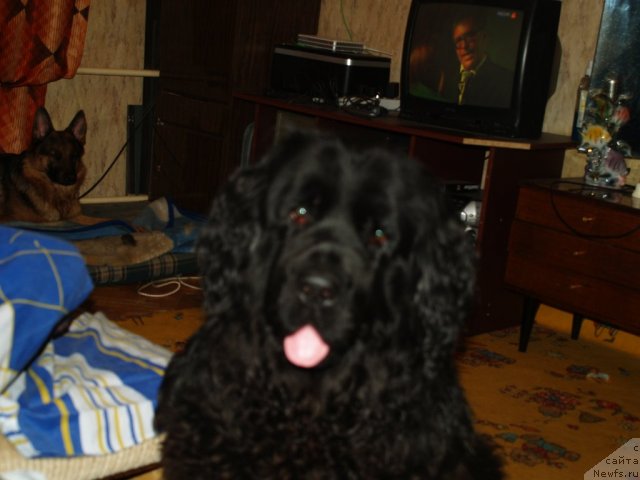 Фотография № 83914