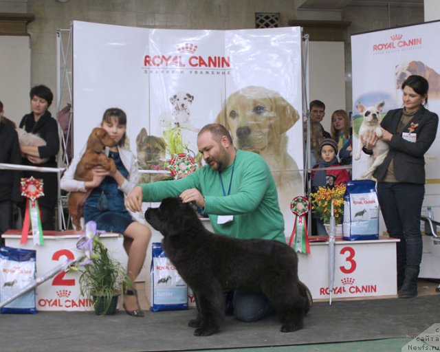 Фотография № 83927