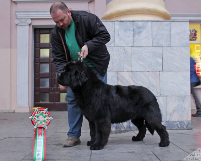 Фотография № 83934