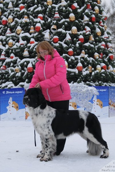 Фотография № 83947