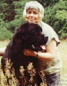 Фото: ньюфаундленд Gerome de Saint-Felicien