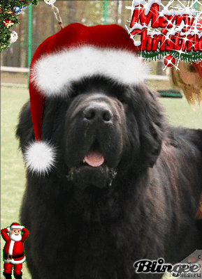 Фотография № 84037