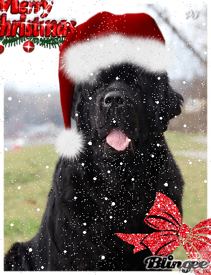 Фотография № 84039