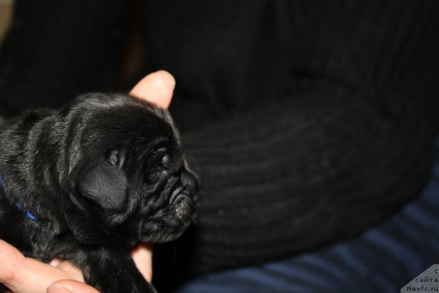 Фото: Мальчик