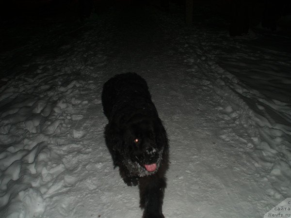 Фотография № 84054