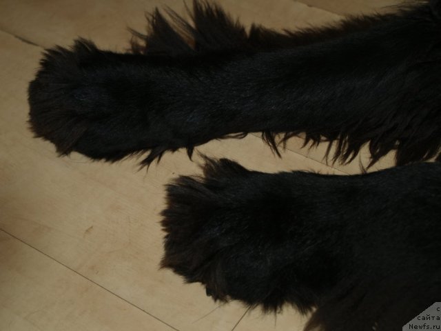 Фотография № 84078