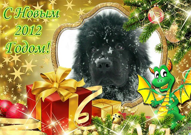 Фотография № 84088